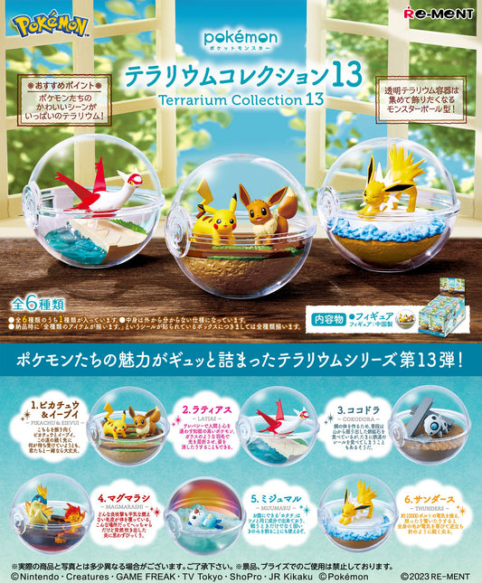 Terrarium Collection 13