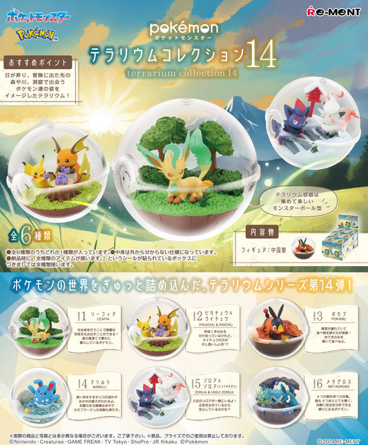 Terrarium Collection 14