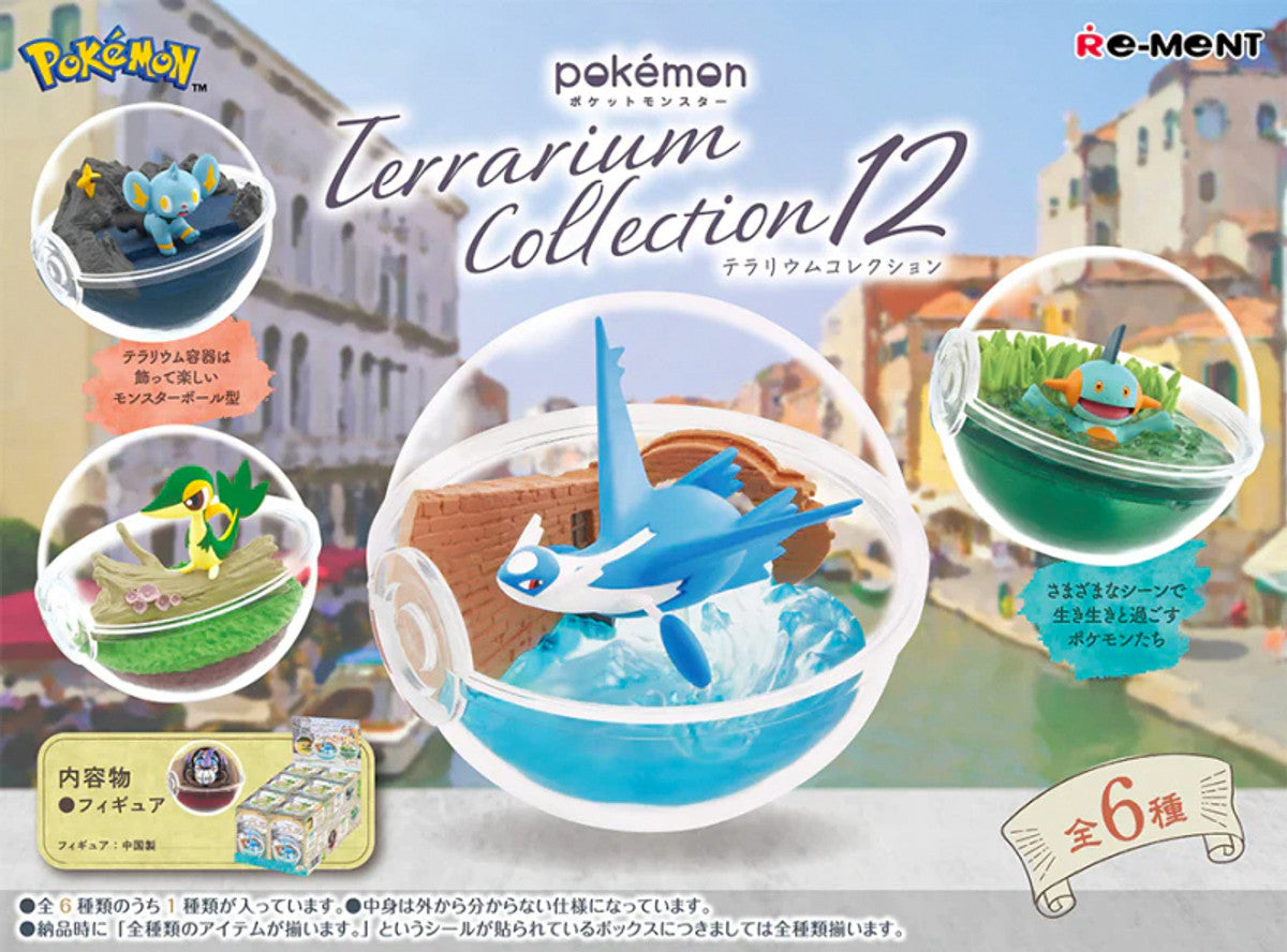 Terrarium Collection 12