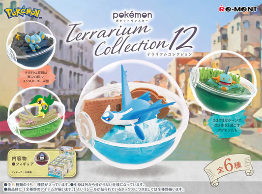 Terrarium Collection 12